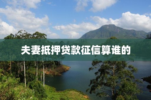 夫妻抵押贷款征信算谁的