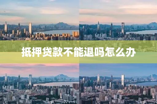 抵押贷款不能退吗怎么办