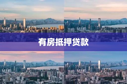 有房抵押贷款