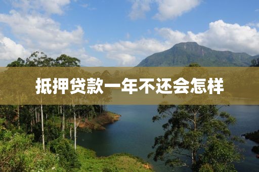 抵押贷款一年不还会怎样