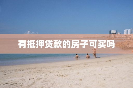 有抵押贷款的房子可买吗