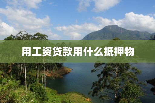 用工资贷款用什么抵押物