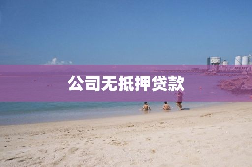 公司无抵押贷款