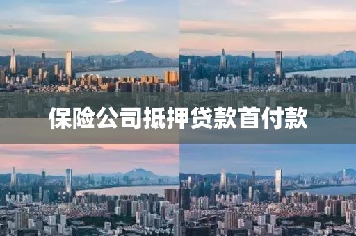 保险公司抵押贷款首付款
