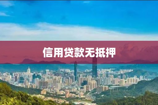 信用贷款无抵押
