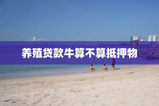 养殖贷款牛算不算抵押物