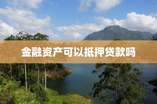 金融资产可以抵押贷款吗