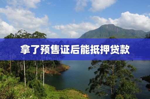 拿了预售证后能抵押贷款