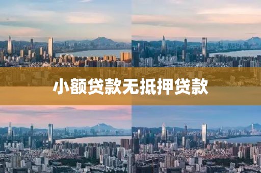小额贷款无抵押贷款