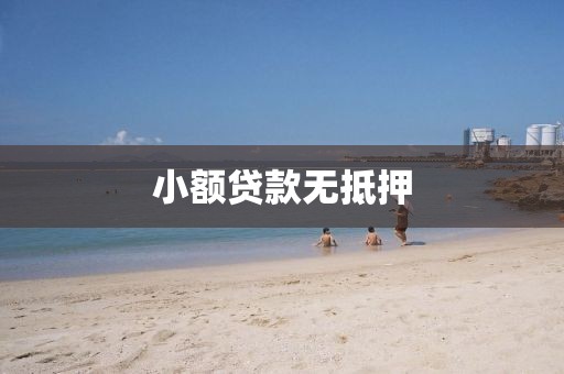 小额贷款无抵押