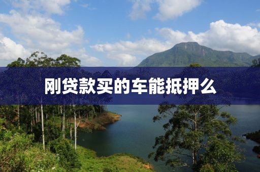刚贷款买的车能抵押么