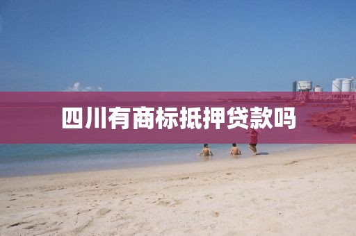 四川有商标抵押贷款吗