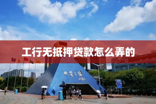 工行无抵押贷款怎么弄的