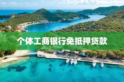 个体工商银行免抵押贷款