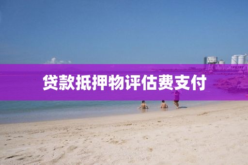 贷款抵押物评估费支付