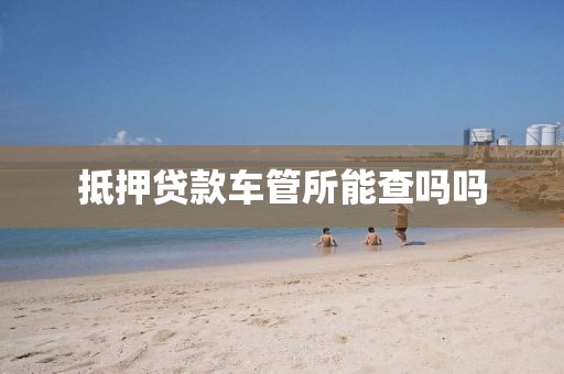 抵押贷款车管所能查吗吗
