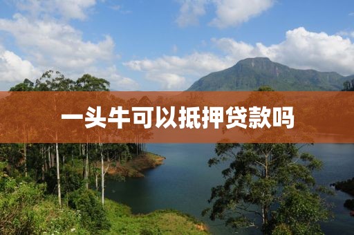 一头牛可以抵押贷款吗