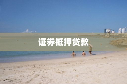 证券抵押贷款