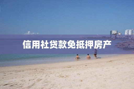 信用社贷款免抵押房产