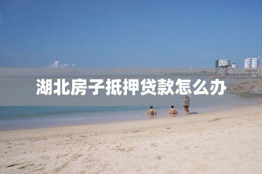 湖北房子抵押贷款怎么办