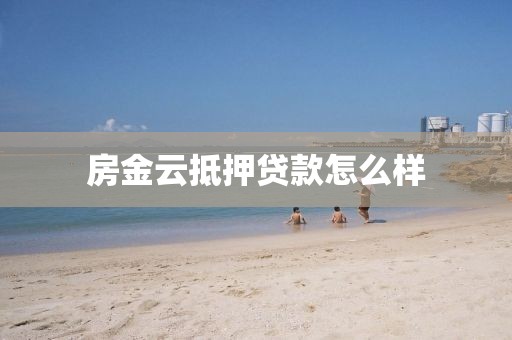 房金云抵押贷款怎么样