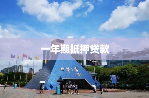 一年期抵押贷款
