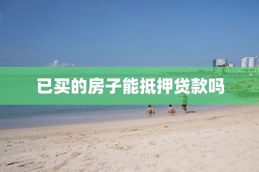已买的房子能抵押贷款吗