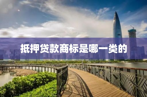 抵押贷款商标是哪一类的