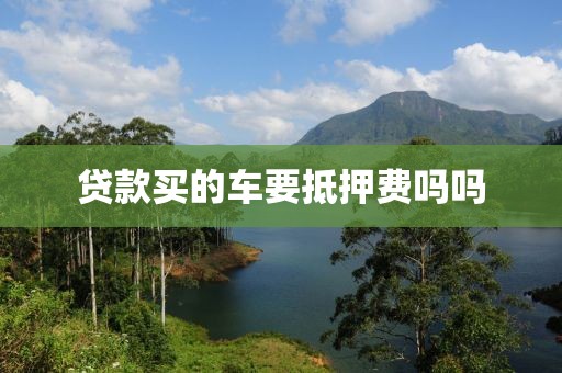 贷款买的车要抵押费吗吗