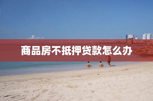 商品房不抵押贷款怎么办