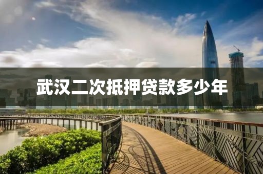武汉二次抵押贷款多少年