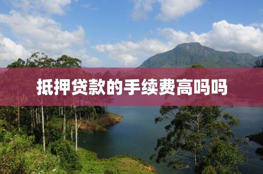 抵押贷款的手续费高吗吗