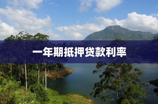 一年期抵押贷款利率