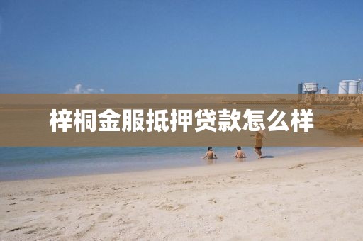 梓桐金服抵押贷款怎么样
