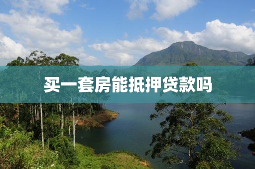 买一套房能抵押贷款吗