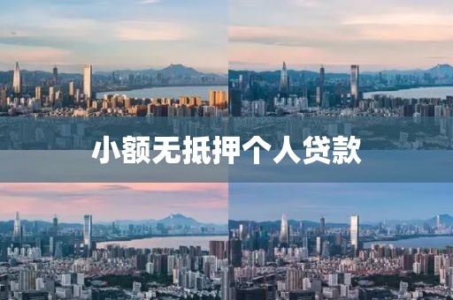小额无抵押个人贷款