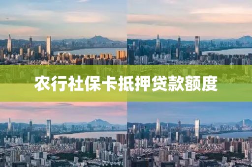 农行社保卡抵押贷款额度