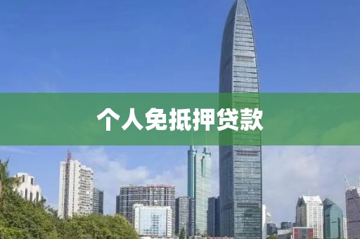 个人免抵押贷款