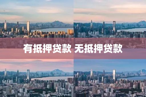 有抵押贷款 无抵押贷款