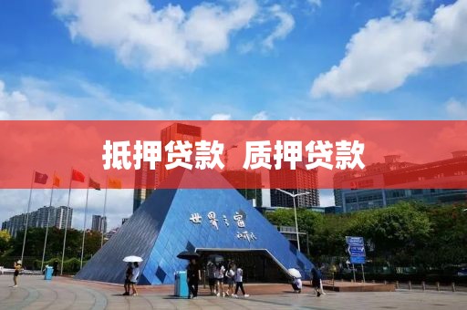 抵押贷款  质押贷款