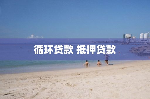 循环贷款 抵押贷款