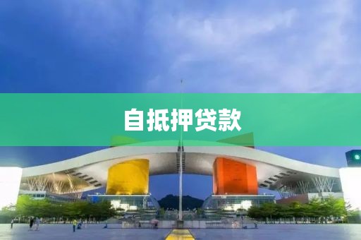 自抵押贷款