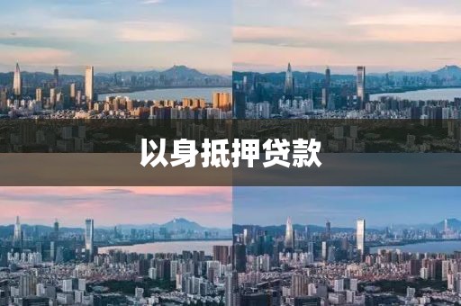 以身抵押贷款