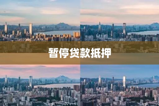 暂停贷款抵押