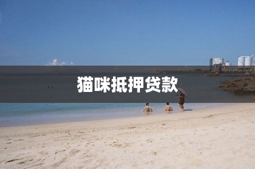 猫咪抵押贷款