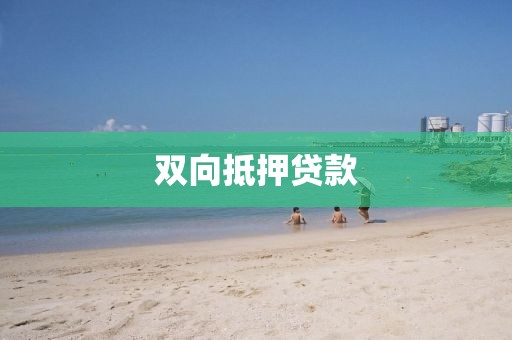 双向抵押贷款