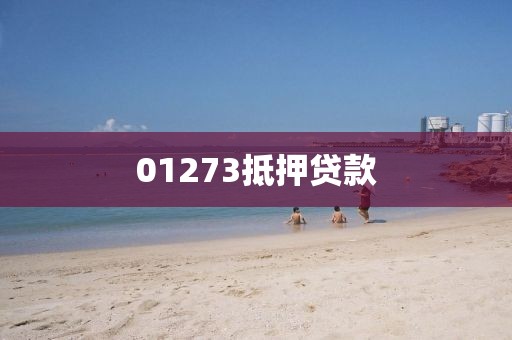 01273抵押贷款