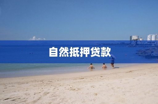 自然抵押贷款