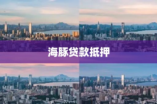 海豚贷款抵押