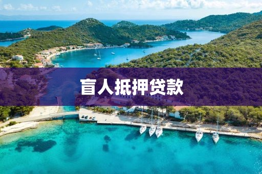 盲人抵押贷款